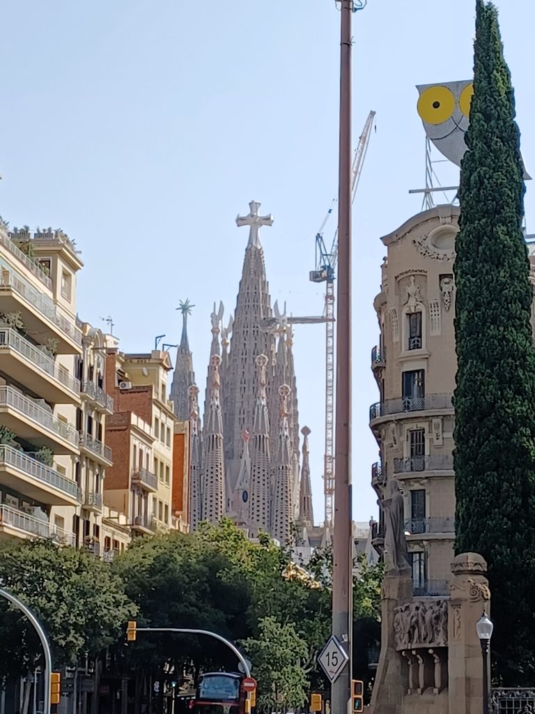 barcelona 12