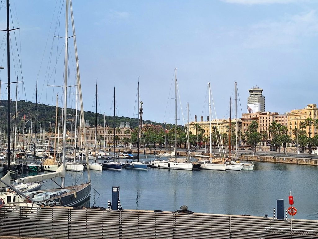 barcelona 14