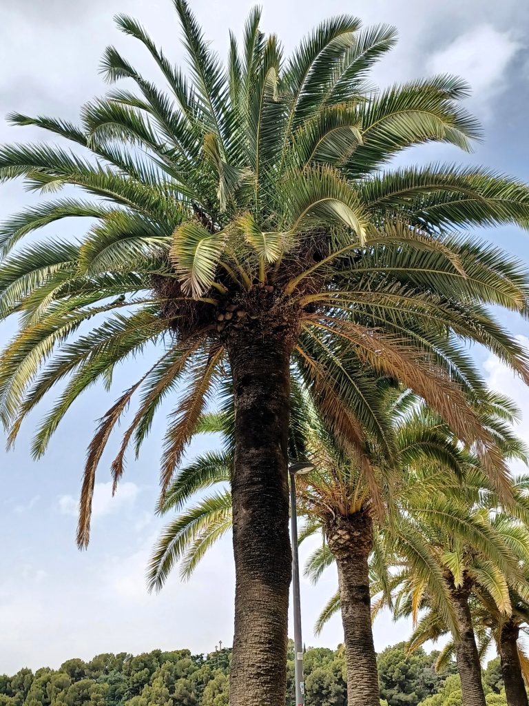 barcelona 2